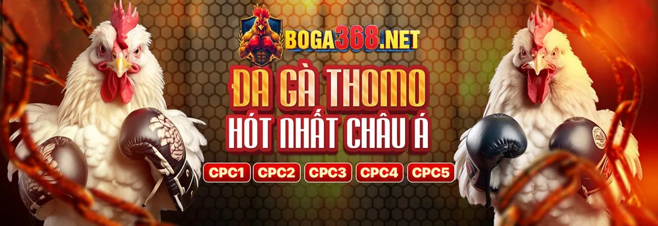 Chương Trình Hoàn Trả Hấp Dẫn 99vin app