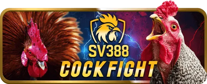 Giấy phép hoạt động hợp pháp của 99vin app